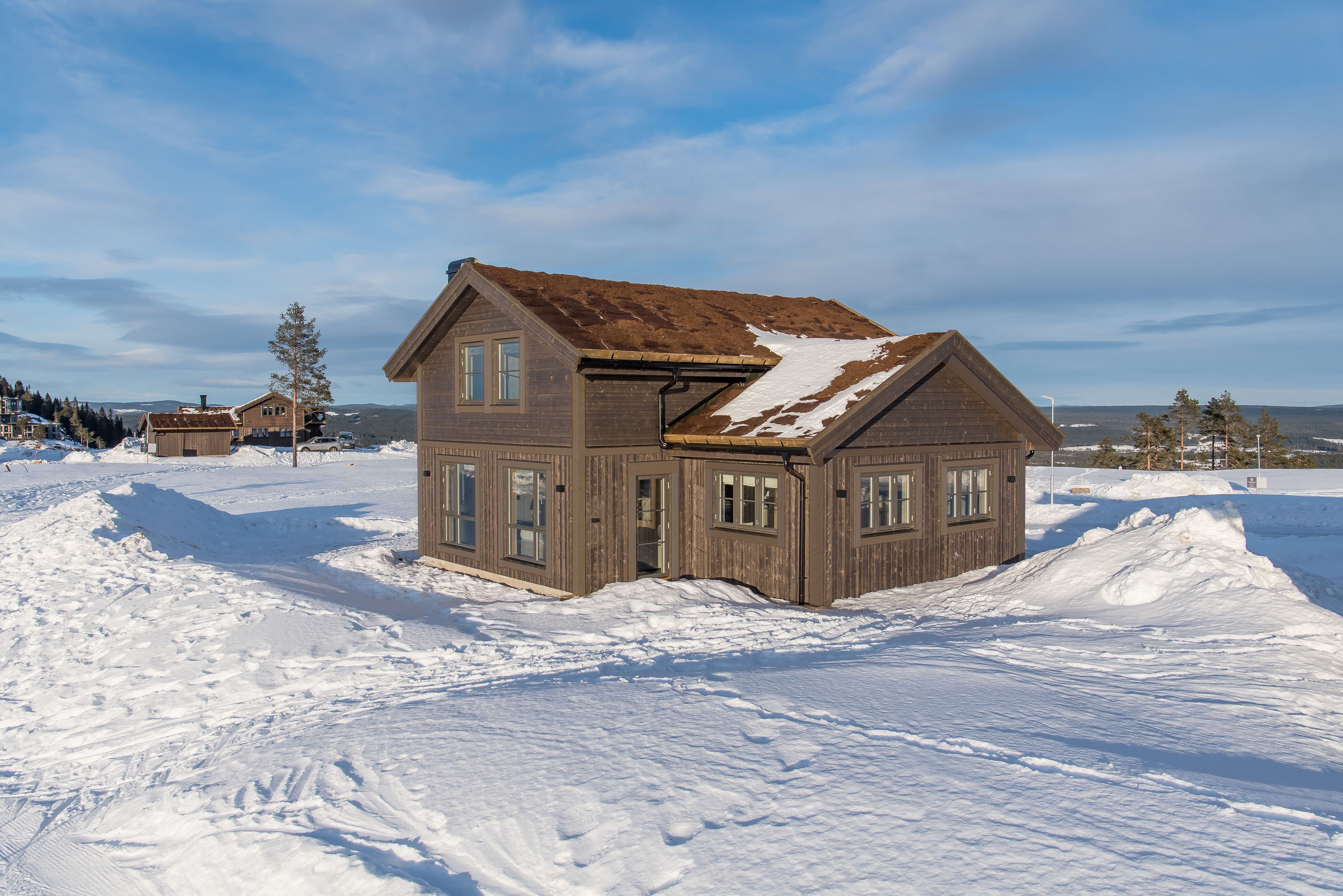 713768 420 1 004 1 1